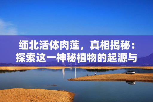 緬北活體肉蓮，真相揭秘：探索這一神秘植物的起源與意義