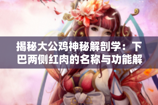 揭秘大公雞神秘解剖學(xué)：下巴兩側(cè)紅肉的名稱與功能解密