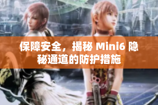 保障安全，揭秘 Mini6 隱秘通道的防護(hù)措施