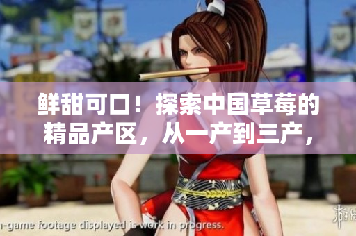 鮮甜可口！探索中國草莓的精品產(chǎn)區(qū)，從一產(chǎn)到三產(chǎn)，品味不同風(fēng)味
