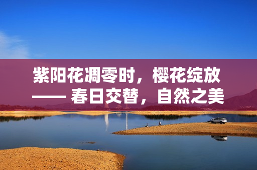 紫陽花凋零時，櫻花綻放 —— 春日交替，自然之美展現(xiàn)
