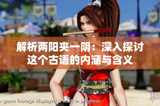 解析兩陽夾一陰：深入探討這個古語的內(nèi)涵與含義