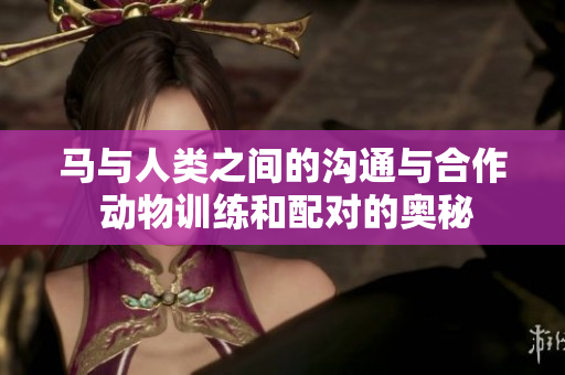 馬與人類(lèi)之間的溝通與合作 動(dòng)物訓(xùn)練和配對(duì)的奧秘 馬與人類(lèi)之間的溝通與合作 動(dòng)物訓(xùn)練和配對(duì)的奧秘