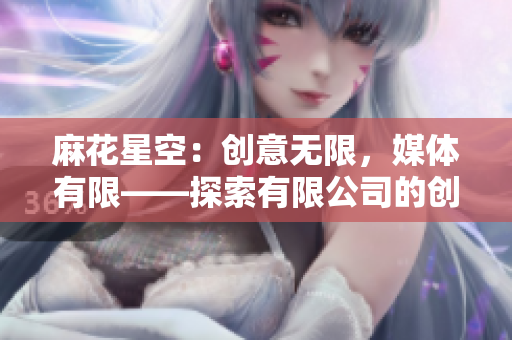 麻花星空：創(chuàng)意無(wú)限，媒體有限——探索有限公司的創(chuàng)新之路