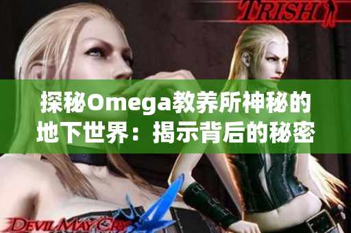 探秘Omega教養(yǎng)所神秘的地下世界：揭示背后的秘密與真相