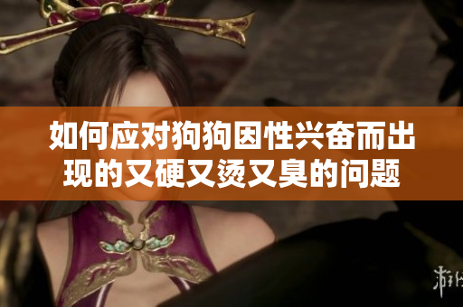 如何應(yīng)對(duì)狗狗因性興奮而出現(xiàn)的又硬又燙又臭的問(wèn)題