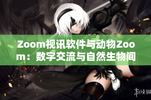 Zoom視訊軟件與動物Zoom：數(shù)字交流與自然生物間的對比