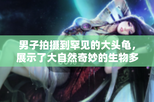 男子拍攝到罕見(jiàn)的大頭龜，展示了大自然奇妙的生物多樣性
