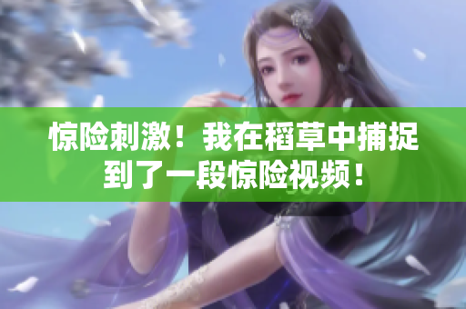 驚險刺激！我在稻草中捕捉到了一段驚險視頻！