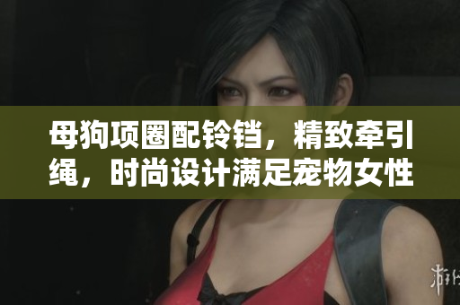 母狗項(xiàng)圈配鈴鐺，精致牽引繩，時(shí)尚設(shè)計(jì)滿足寵物女性。