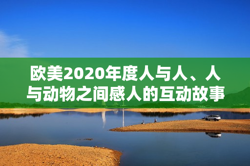 歐美2020年度人與人、人與動物之間感人的互動故事盤點