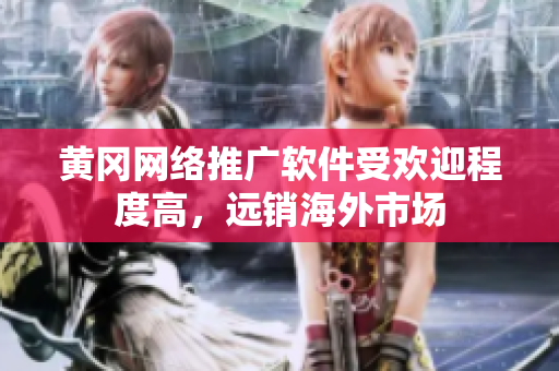 黃岡網(wǎng)絡(luò)推廣軟件受歡迎程度高，遠銷海外市場