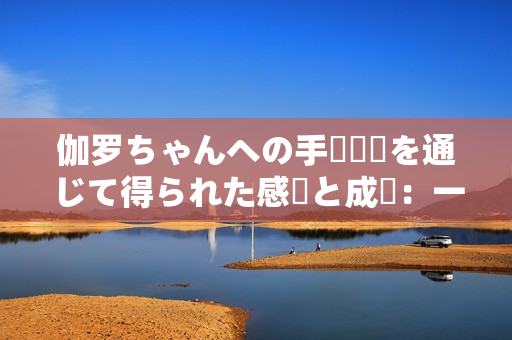伽羅ちゃんへの手術(shù)経験を通じて得られた感動と成長:一匹犬の物語 伽羅ちゃんへの手術(shù)経験を通じて得られた感動と成長:一匹犬の物語