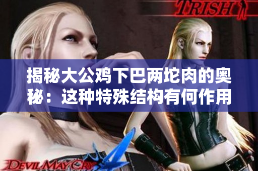 揭秘大公雞下巴兩坨肉的奧秘：這種特殊結構有何作用？