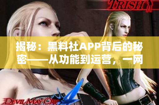 揭秘：黑料社APP背后的秘密——從功能到運營，一網(wǎng)打盡！