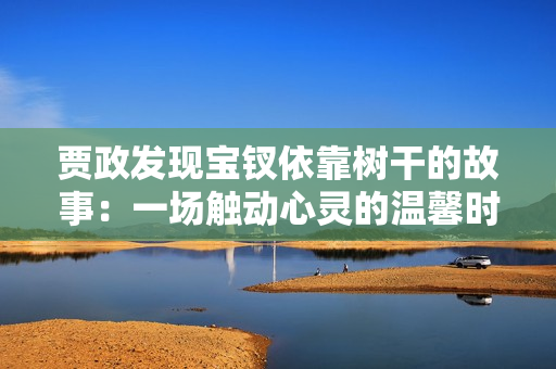 賈政發(fā)現(xiàn)寶釵依靠樹干的故事：一場觸動心靈的溫馨時刻