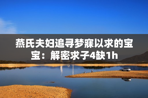 燕氏夫婦追尋夢寐以求的寶寶：解密求子4缺1h