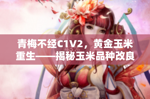青梅不經(jīng)C1V2，黃金玉米重生——揭秘玉米品種改良的奧秘