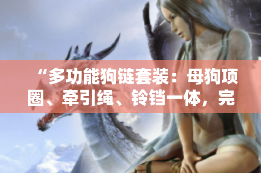 “多功能狗鏈套裝：母狗項(xiàng)圈、牽引繩、鈴鐺一體，完美搭配訓(xùn)練與日?！? title=