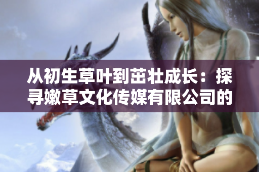從初生草葉到茁壯成長(zhǎng)：探尋嫩草文化傳媒有限公司的發(fā)展歷程
