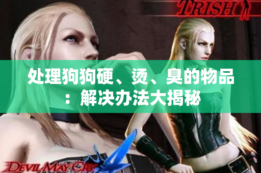處理狗狗硬、燙、臭的物品：解決辦法大揭秘