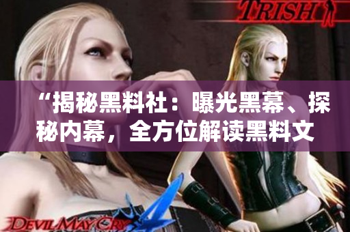 “揭秘黑料社：曝光黑幕、探秘內(nèi)幕，全方位解讀黑料文化與社群現(xiàn)象”