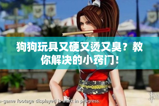 狗狗玩具又硬又燙又臭？教你解決的小竅門！