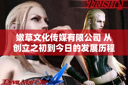 嫩草文化傳媒有限公司 從創(chuàng)立之初到今日的發(fā)展歷程