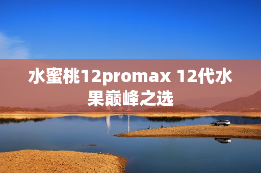 水蜜桃12promax 12代水果巔峰之選