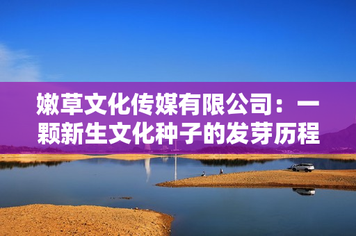 嫩草文化傳媒有限公司：一顆新生文化種子的發(fā)芽歷程
