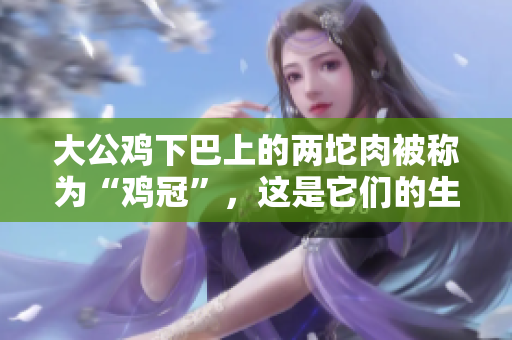 大公雞下巴上的兩坨肉被稱為“雞冠”，這是它們的生理特征，有助于辨別品種。