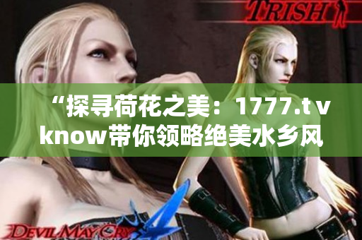 “探尋荷花之美：1777.tⅴknow帶你領(lǐng)略絕美水鄉(xiāng)風(fēng)情”