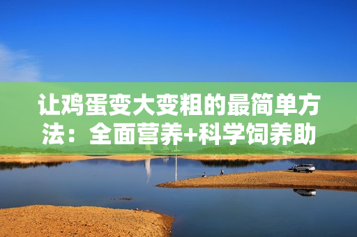讓雞蛋變大變粗的最簡單方法：全面營養(yǎng)+科學飼養(yǎng)助力增產