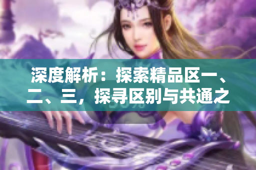 深度解析：探索精品區(qū)一、二、三，探尋區(qū)別與共通之處