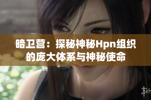 暗衛(wèi)營：探秘神秘Hpn組織的龐大體系與神秘使命