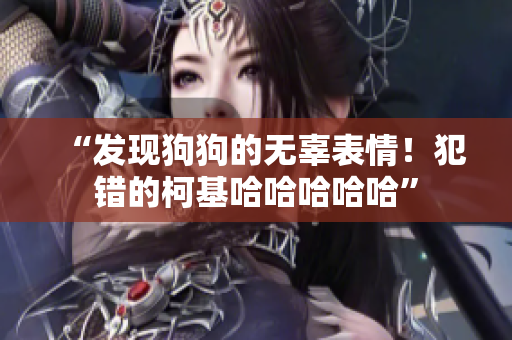 “發(fā)現(xiàn)狗狗的無(wú)辜表情！犯錯(cuò)的柯基哈哈哈哈哈”