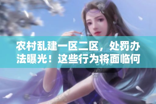 農(nóng)村亂建一區(qū)二區(qū)，處罰辦法曝光！這些行為將面臨何種懲罰？