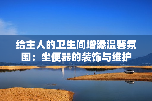 給主人的衛(wèi)生間增添溫馨氛圍：坐便器的裝飾與維護(hù)