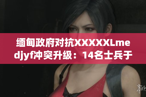 緬甸政府對抗XXXXXLmedjyf沖突升級：14名士兵于5月18日喪生
