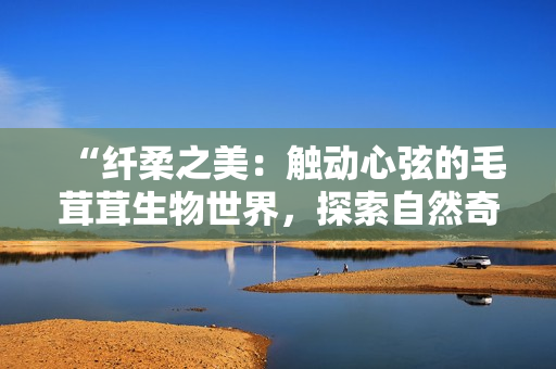 “纖柔之美：觸動(dòng)心弦的毛茸茸生物世界，探索自然奇妙之美”