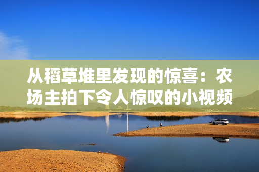 從稻草堆里發(fā)現(xiàn)的驚喜：農(nóng)場(chǎng)主拍下令人驚嘆的小視頻