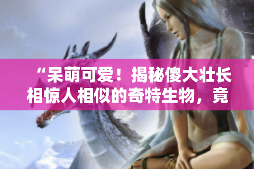 “呆萌可愛！揭秘傻大壯長相驚人相似的奇特生物，竟然和驢有何關(guān)聯(lián)？”