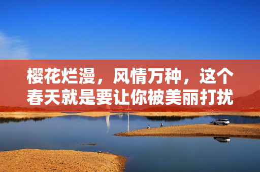 櫻花爛漫，風(fēng)情萬(wàn)種，這個(gè)春天就是要讓你被美麗打擾。