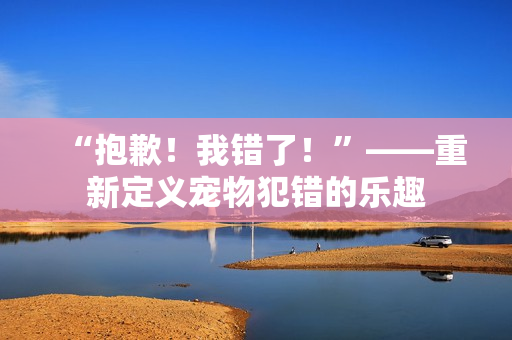 “抱歉！我錯了！”——重新定義寵物犯錯的樂趣