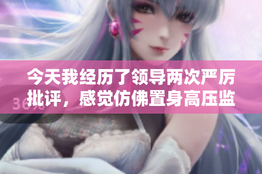 今天我經(jīng)歷了領(lǐng)導(dǎo)兩次嚴(yán)厲批評(píng)，感覺(jué)仿佛置身高壓監(jiān)獄