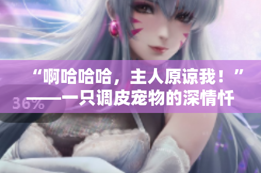 “啊哈哈哈，主人原諒我！”——一只調(diào)皮寵物的深情懺悔