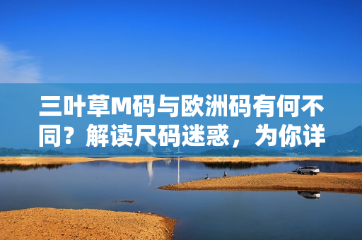 三葉草M碼與歐洲碼有何不同？解讀尺碼迷惑，為你詳解適合你的大小