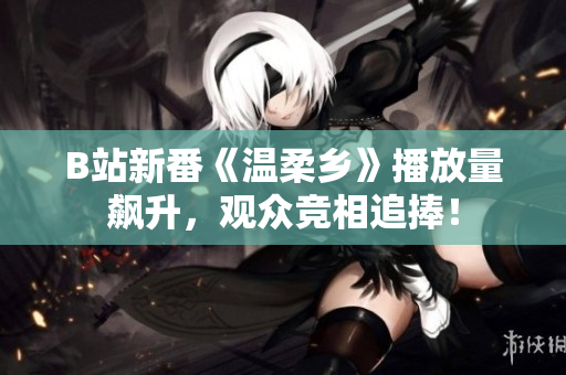 B站新番《溫柔鄉(xiāng)》播放量飆升，觀眾競相追捧！