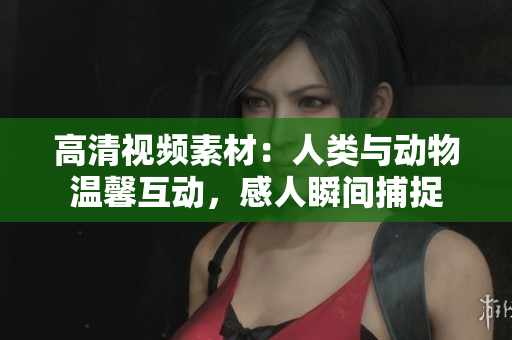 高清視頻素材：人類與動(dòng)物溫馨互動(dòng)，感人瞬間捕捉