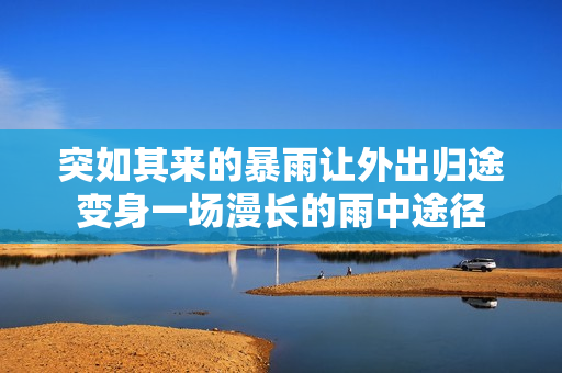 突如其來的暴雨讓外出歸途變身一場(chǎng)漫長的雨中途徑